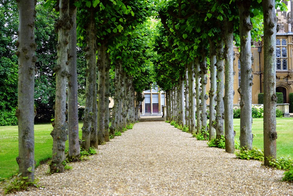 Jardin Public
